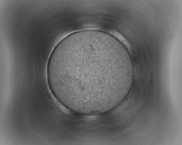 X0000112401431200909041327