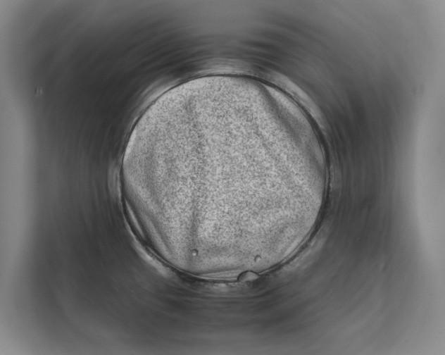 X0000112401433200909041327