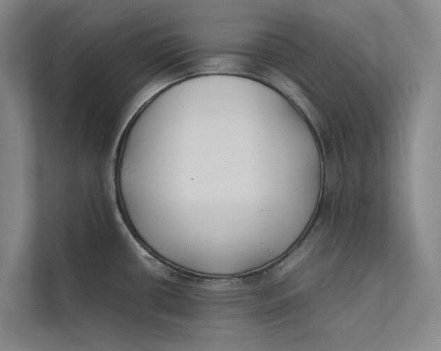 X0000112401434200909041327