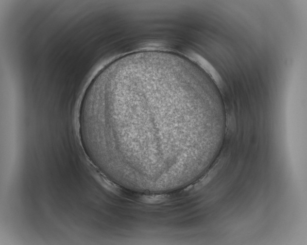 X0000112401435200909041327