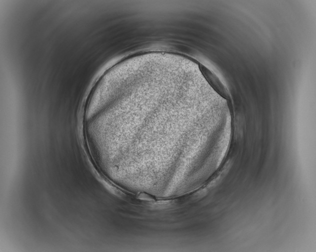 X0000112401437200909041327