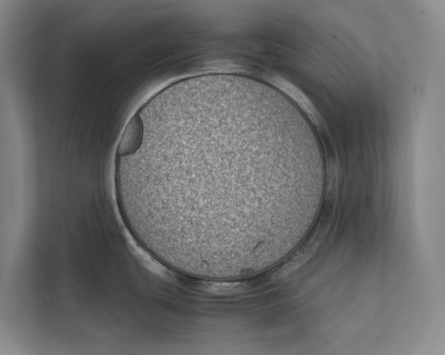 X0000112401439200909041327