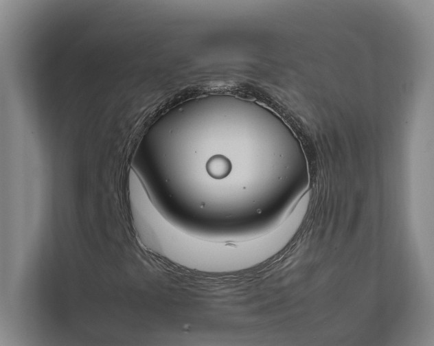 X0000112401441200909041326