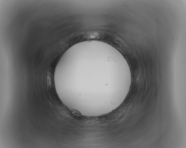 X0000112401442200909041326