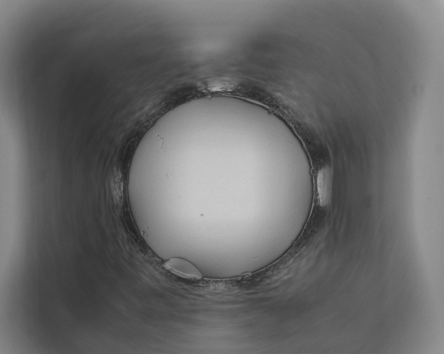 X0000112401443200909041326
