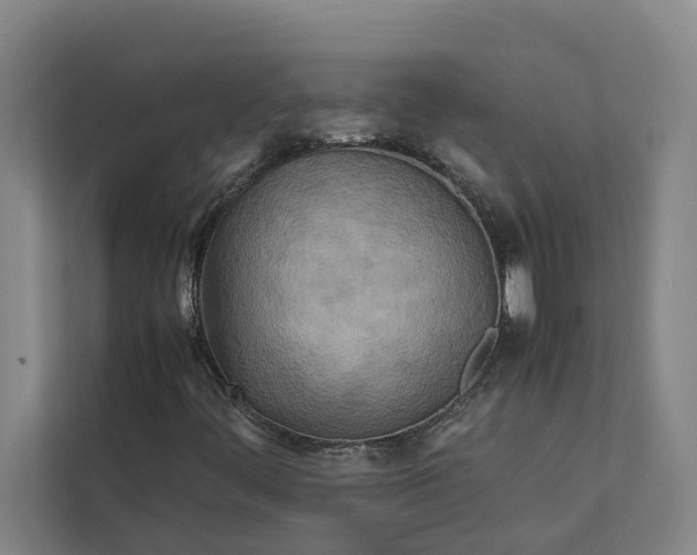 X0000112401444200909041326