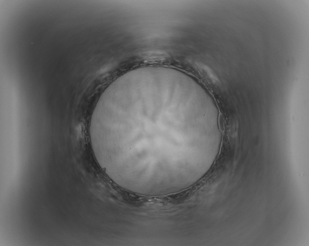 X0000112401445200909041326
