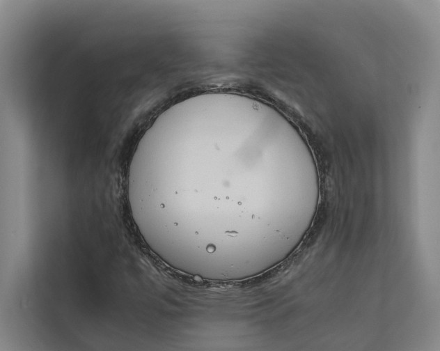 X0000112401447200909041326