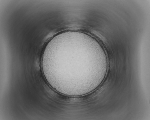 X0000112401451200909041326