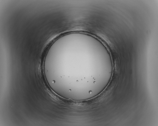 X0000112401452200909041326