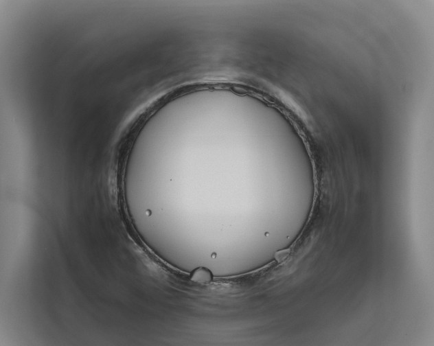 X0000112401456200909041326
