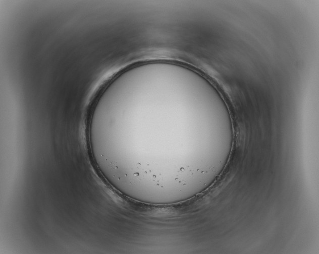 X0000112401464200909041326