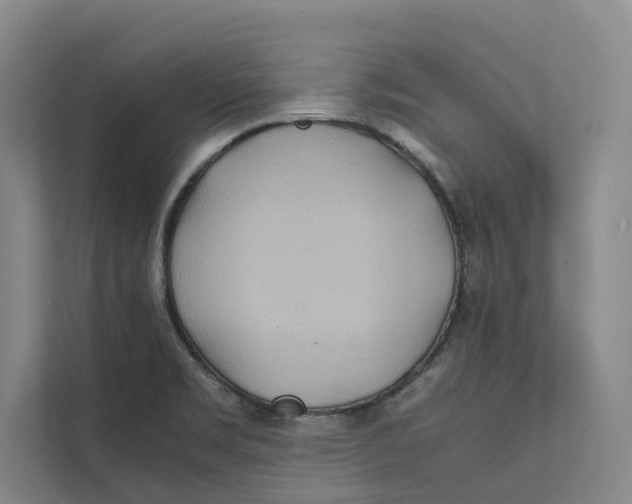X0000112401469200909041326
