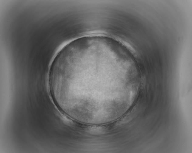 X0000112401470200909041326