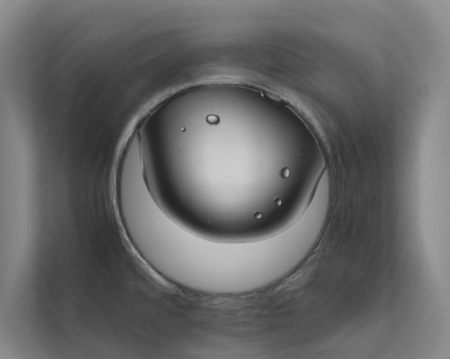 X0000112401480200909041326