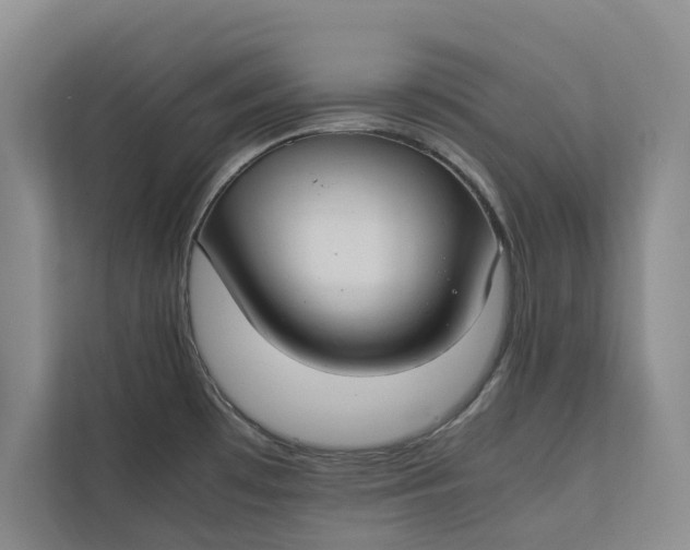 X0000112401481200909041326