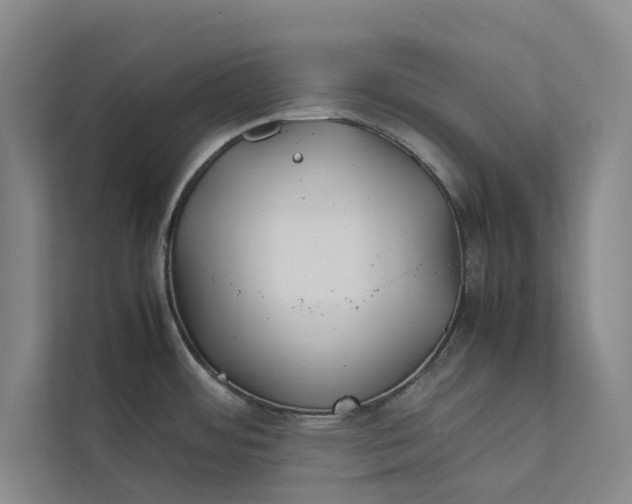 X0000112401484200909041326