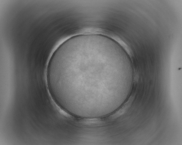 X0000112401486200909041326