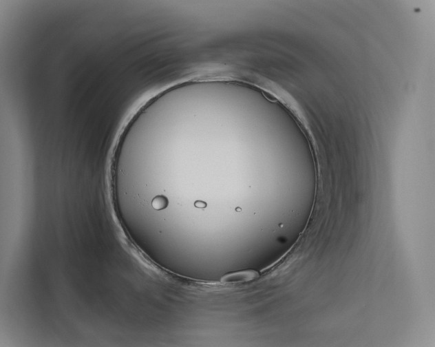X0000112401488200909041326