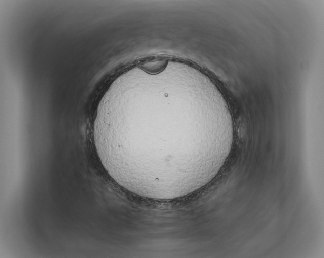 X0000112401495200909041325