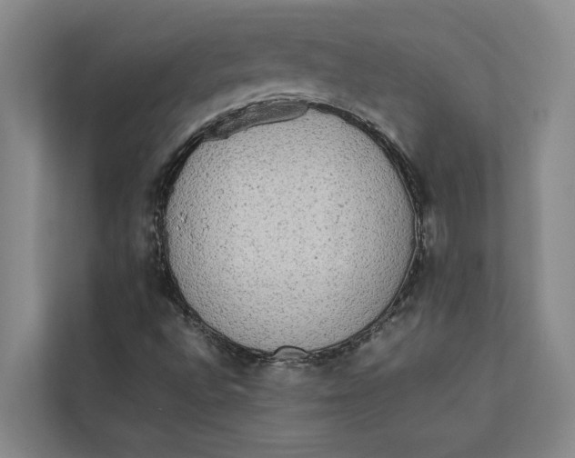 X0000112401496200909041325