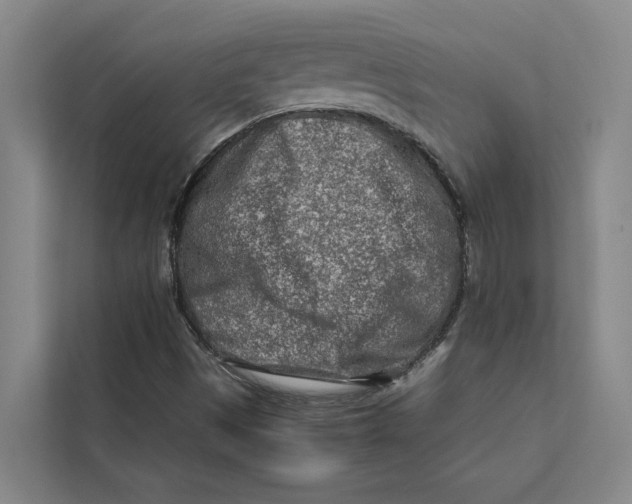 X0000112401497200909041325