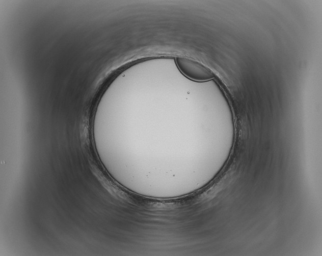 X0000112401499200909041325
