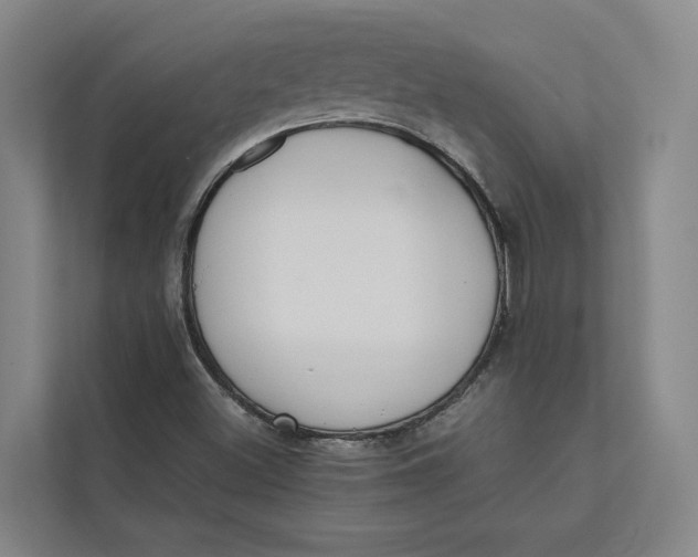 X0000112401500200909041325