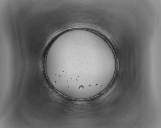 X0000112401501200909041325