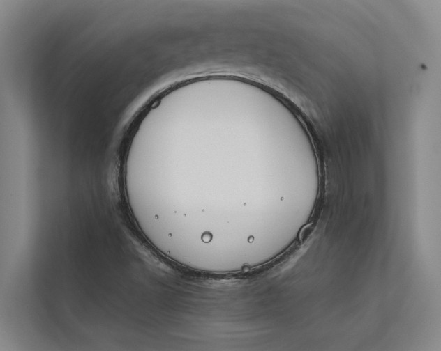 X0000112401502200909041325
