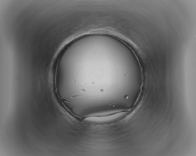 X0000112401506200909041325