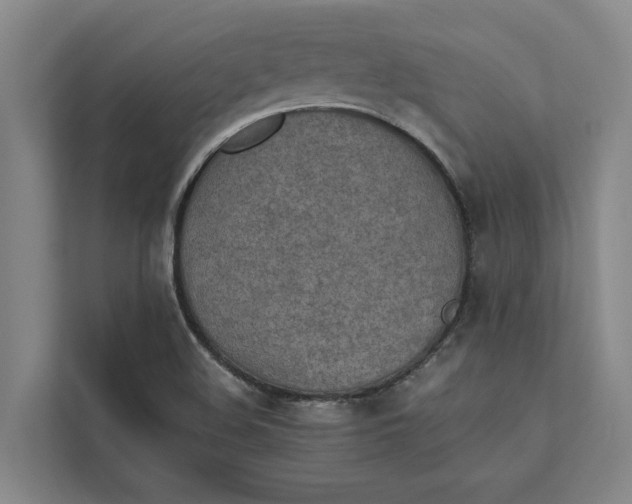 X0000112401508200909041325
