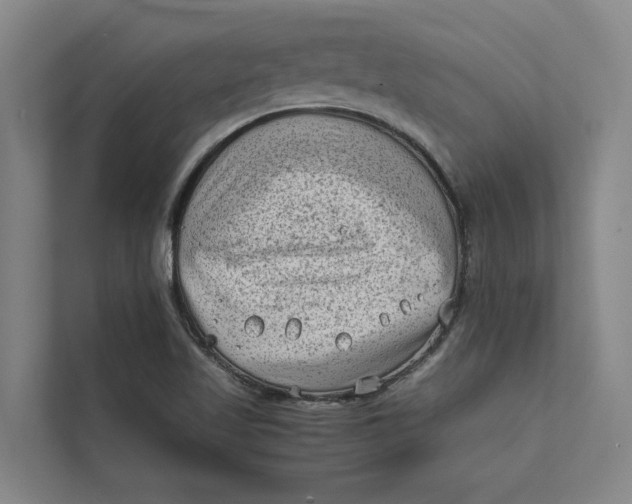 X0000112401509200909041325