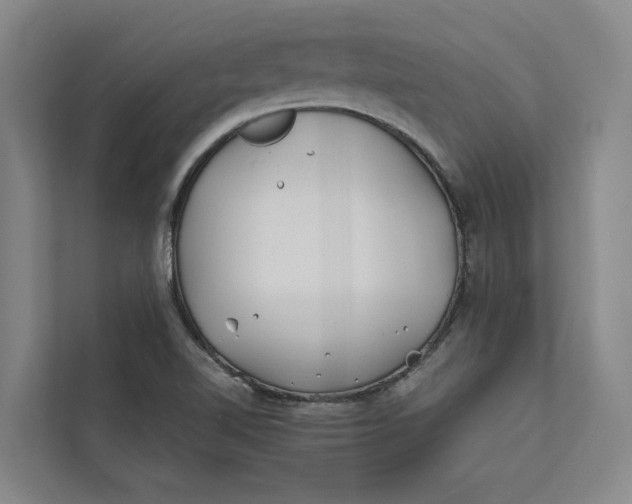 X0000112401510200909041325