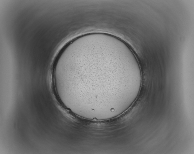 X0000112401511200909041325