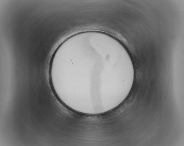 X0000112401512200909041325