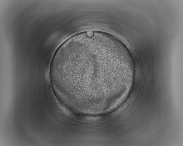 X0000112401513200909041325