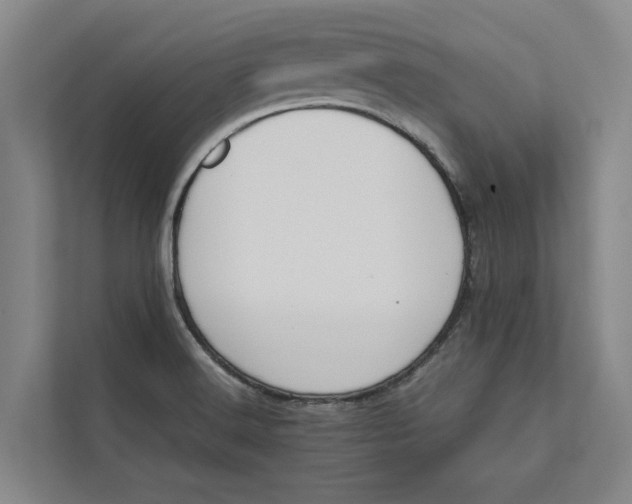 X0000112401516200909041326