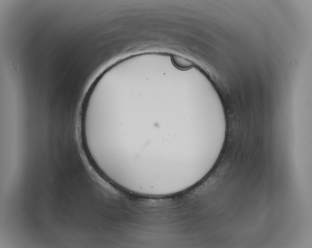 X0000112401518200909041326