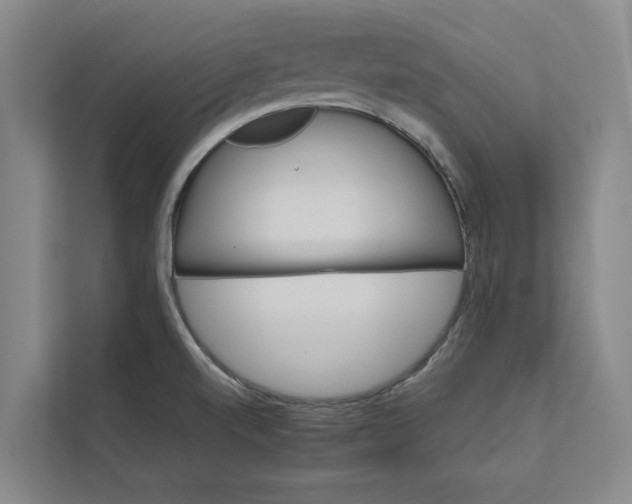 X0000112401520200909041326