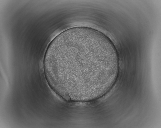 X0000112401521200909041326