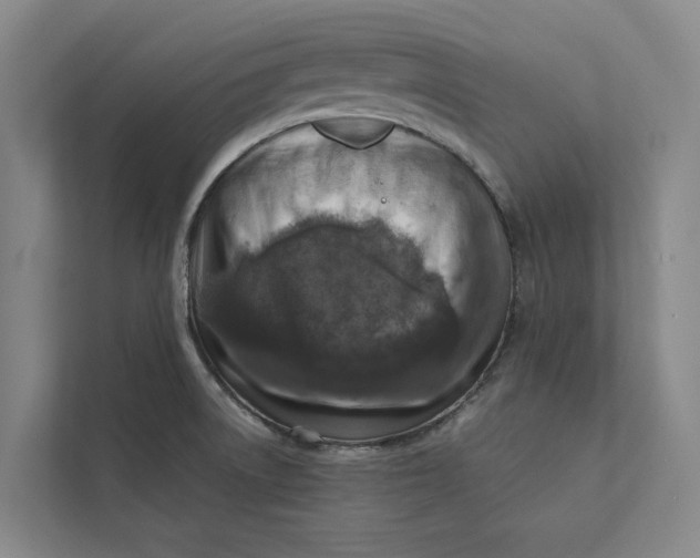 X0000112401522200909041326