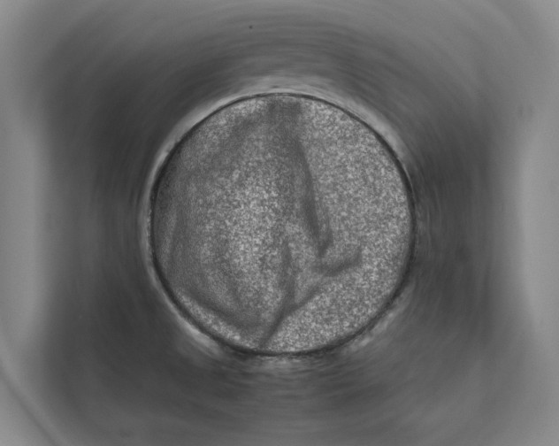X0000112401525200909041326