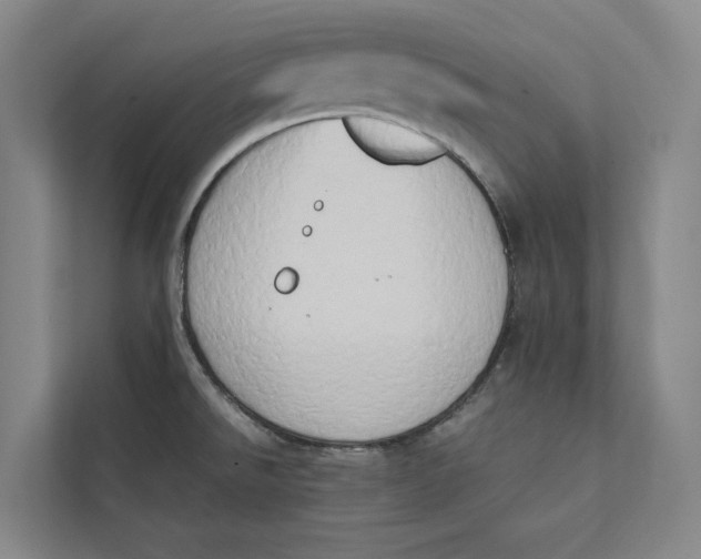 X0000112401526200909041326