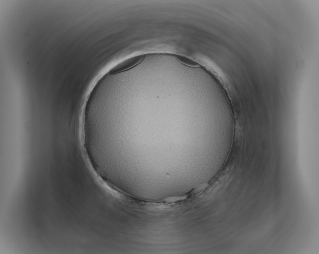 X0000112401528200909041326