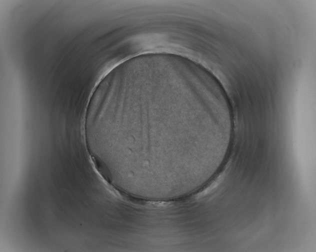 X0000112401529200909041326