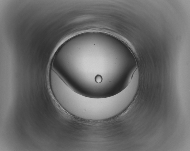 X0000112401530200909041326