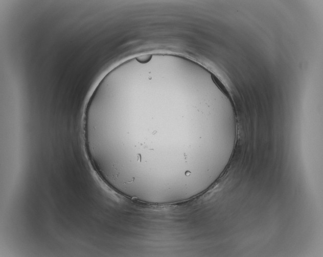X0000112401532200909041326