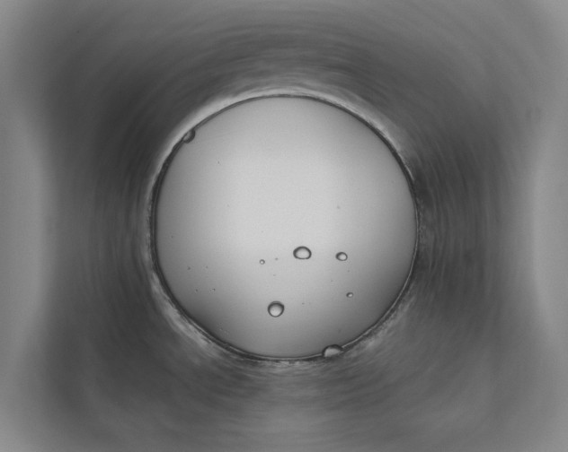X0000112401534200909041326