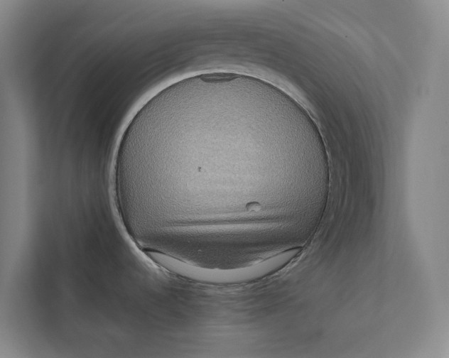 X0000112401536200909041326